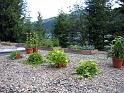 IMG_0753